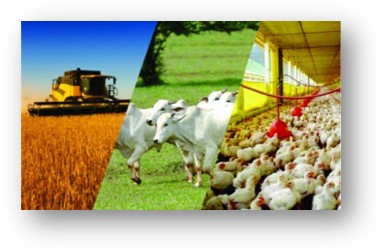 Agribusiness